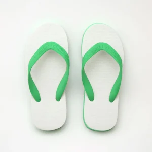 Flip-Flops Slipper